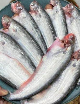 Pabda 80–100 gm/pc