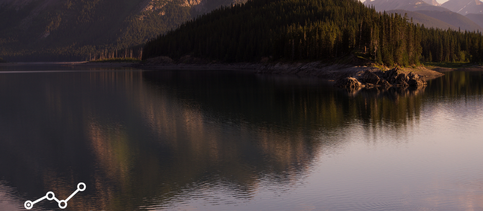 The Rise of the Fractional CFO Firm - VI