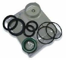 Seal kit for RM/55441/M/100