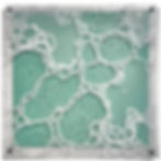 Goldberg_Carla_Galicia