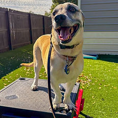 Callie is building her confidence! Look at that smile!