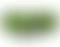 Backcountry Harvest Organic Certification Update