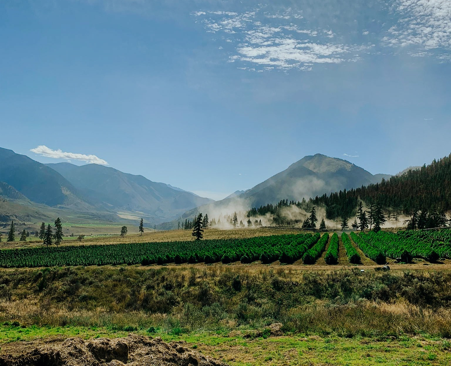 About Backcountry Harvest Lillooet