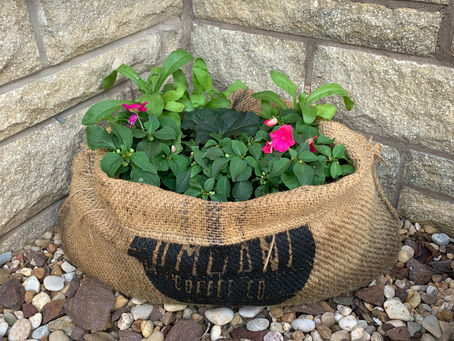 Gardeners Delight