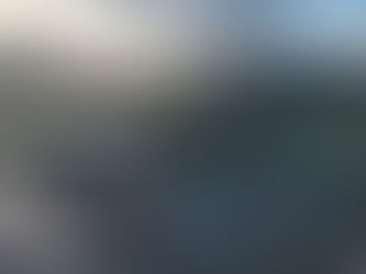 Eyes in the Cloud : Leveraging the Cloud in Protecting Mangroves in Catanduanes