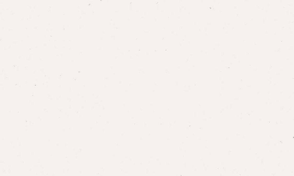 main_bg.jpeg