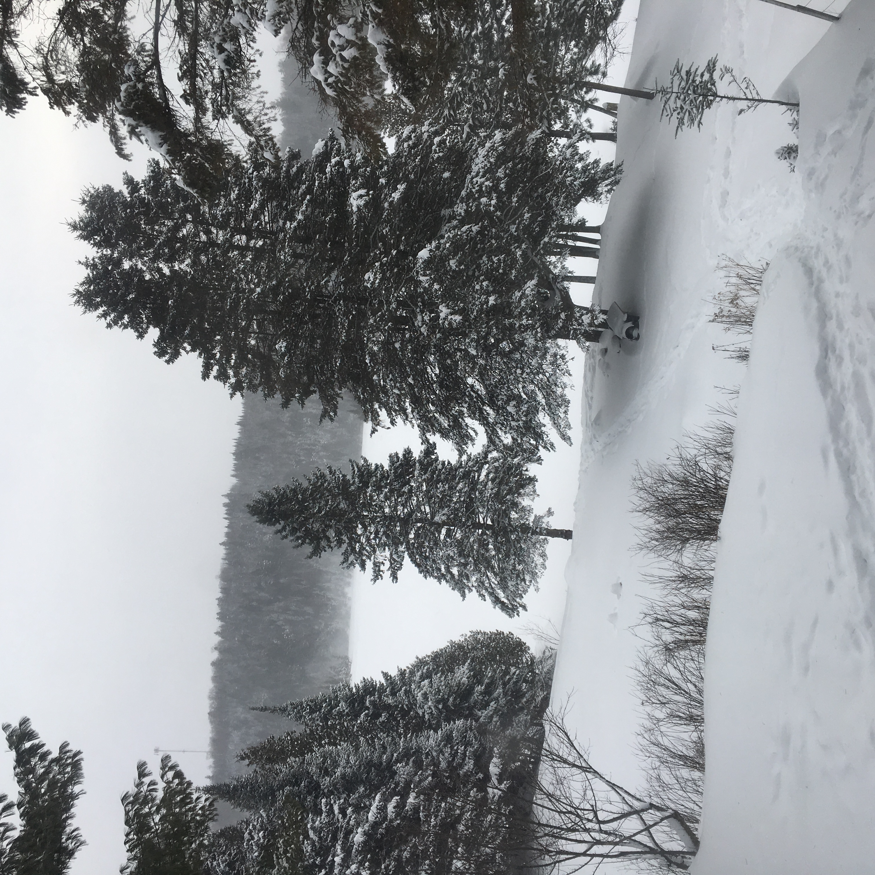 Vue du chalet en hiver