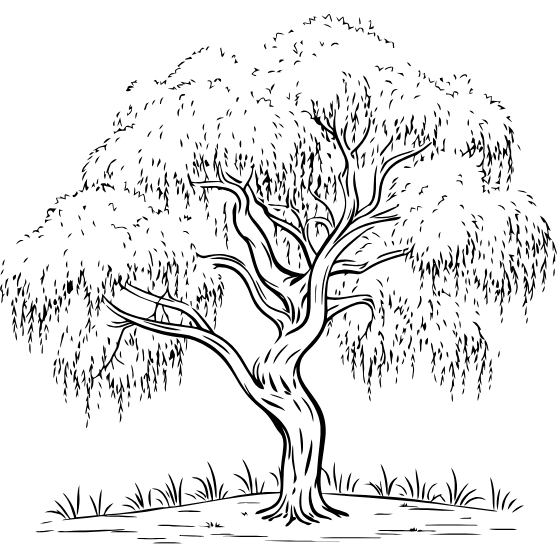 arbre-élagueur-cote-dopale