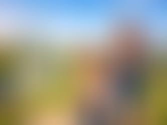 Top 10 Best (and Most Affordable) Places to Raise a Family in 2026