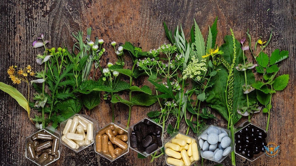Top 10 Herbal and Nutritional Supplements to Naturally Reduce Stress