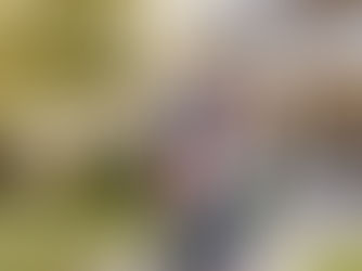 Top 10 Affordable U.S. Destinations for Family Relocation in 2026