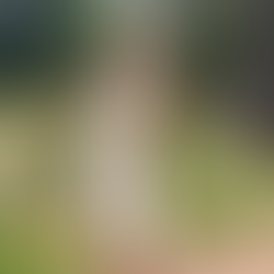 Embracing Emotions: A Journey Through Grief and Healing