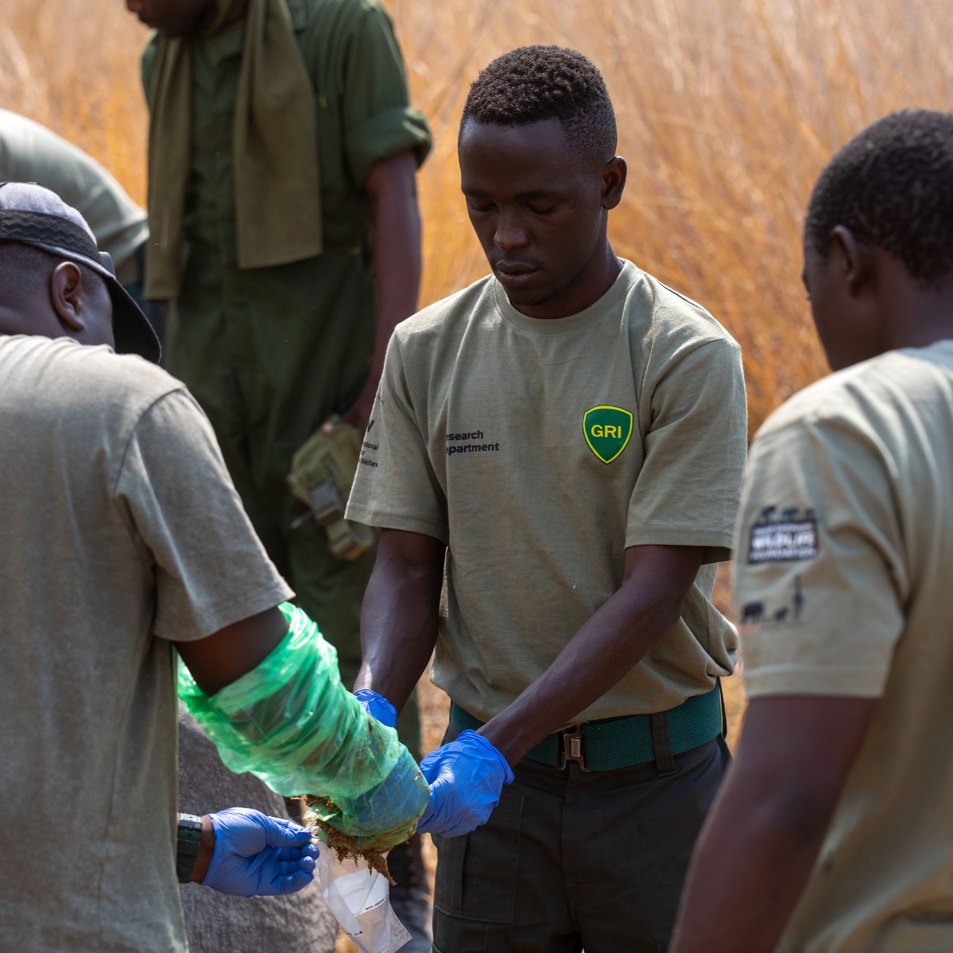 Health checks being conducted and samples collected. PC - Tom Deschamps Photography