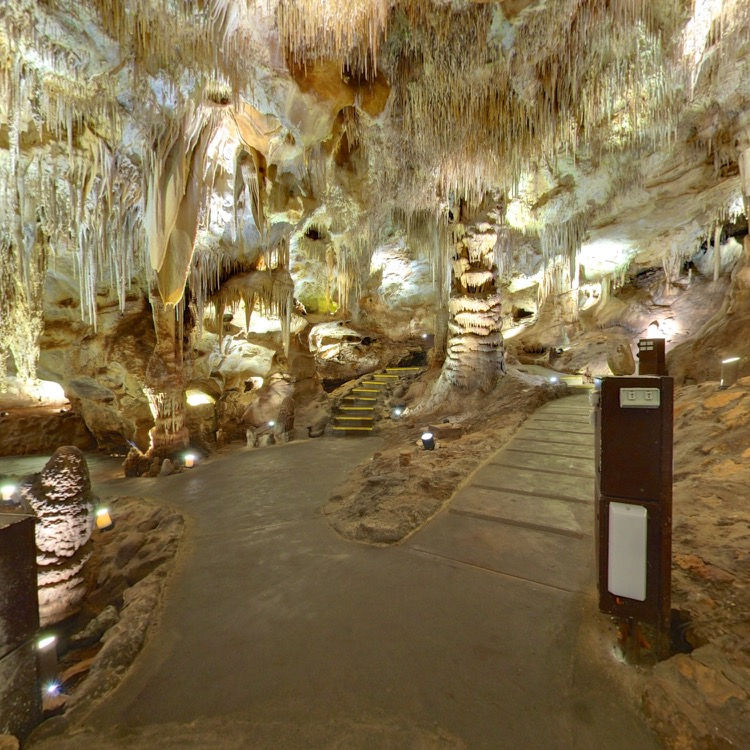 Tantanoola Caves-Limestone Coast South Australia