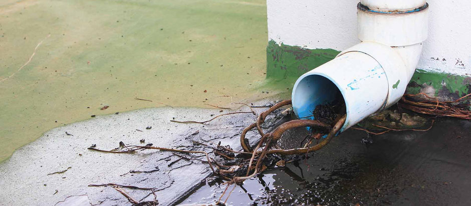 Återkommande avloppsstopp? Trädrötter kan vara orsaken. Vi utför rotskärning i Sollentuna - snabbt & effektivt utan uppgrävning.