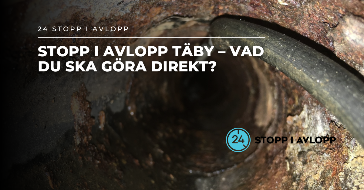 Loclify skapar digital närvaro åt företag från Kristianstad till Stockholm