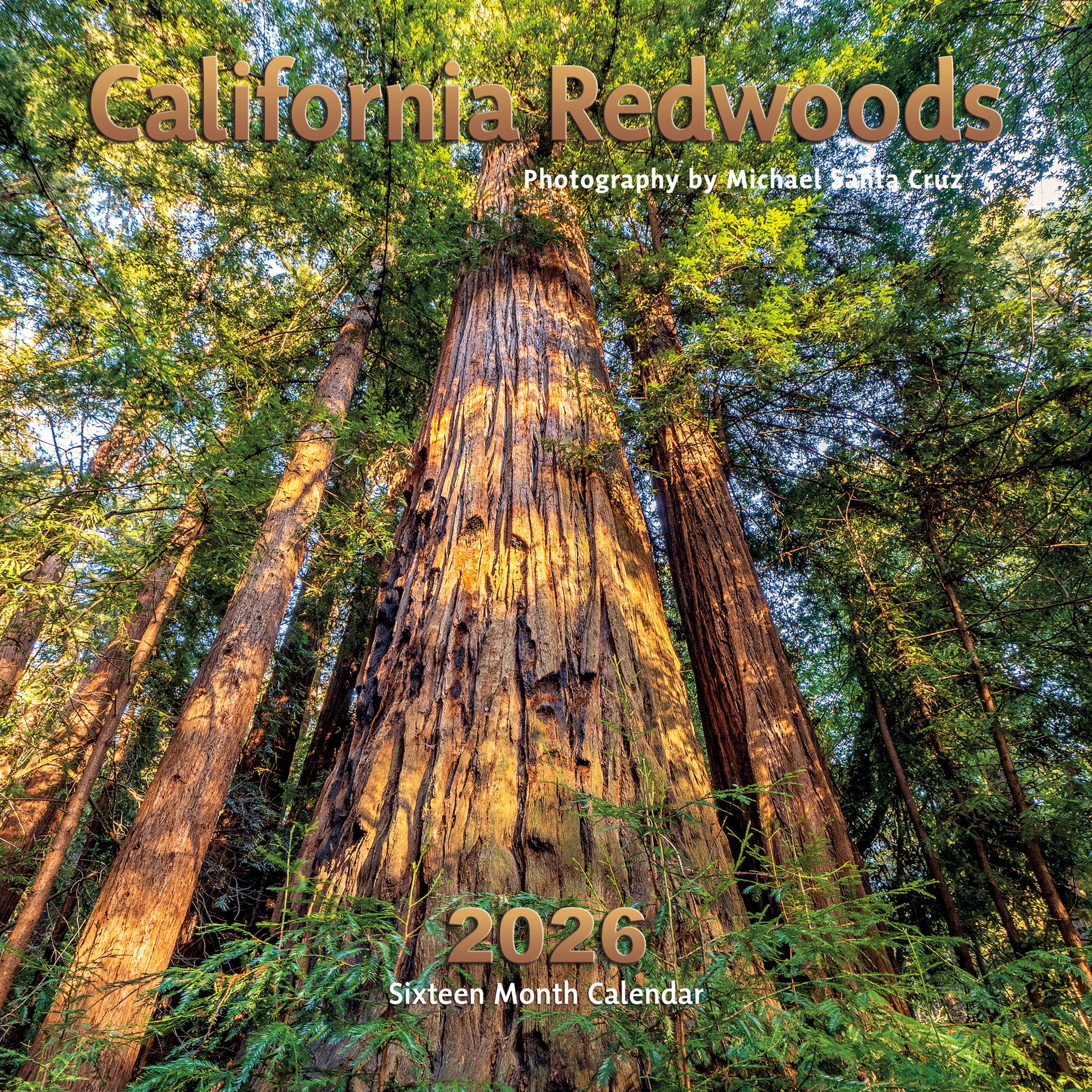 California Redwoods 2026 Calendar