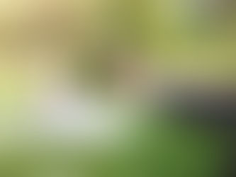 The Biggest Red Flag When Hiring A Wedding Videographer