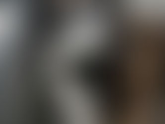 Helping a Dog with Trauma