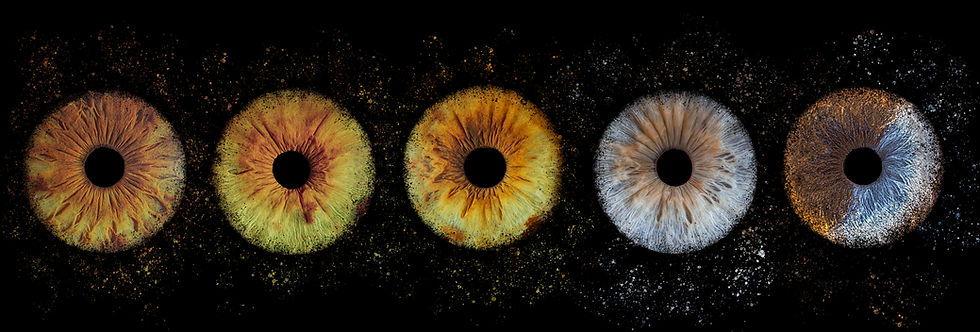 5 iris