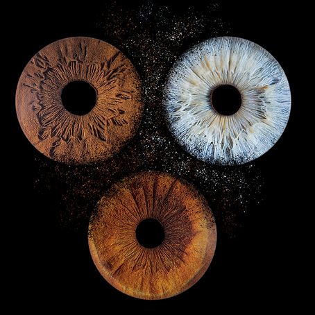 iris trio