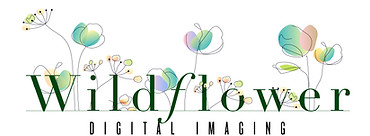 Wildflower.JPG