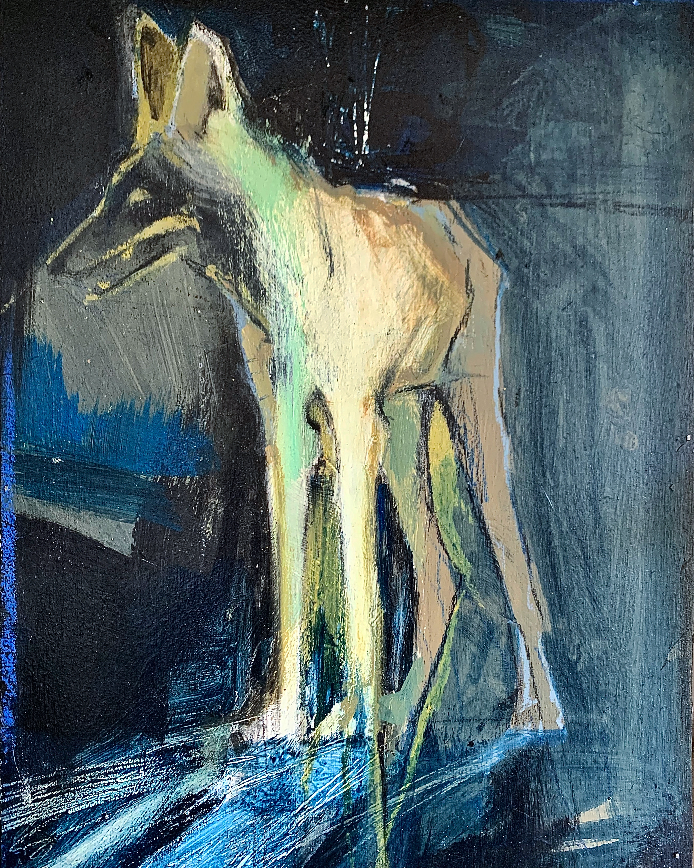 Blue Coyote