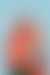 Good Spirits By B. K. Borison