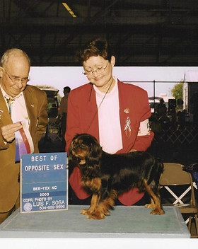 Tuckers-show-photo.jpg