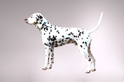 ANew1717171717Toffey Background Kopie