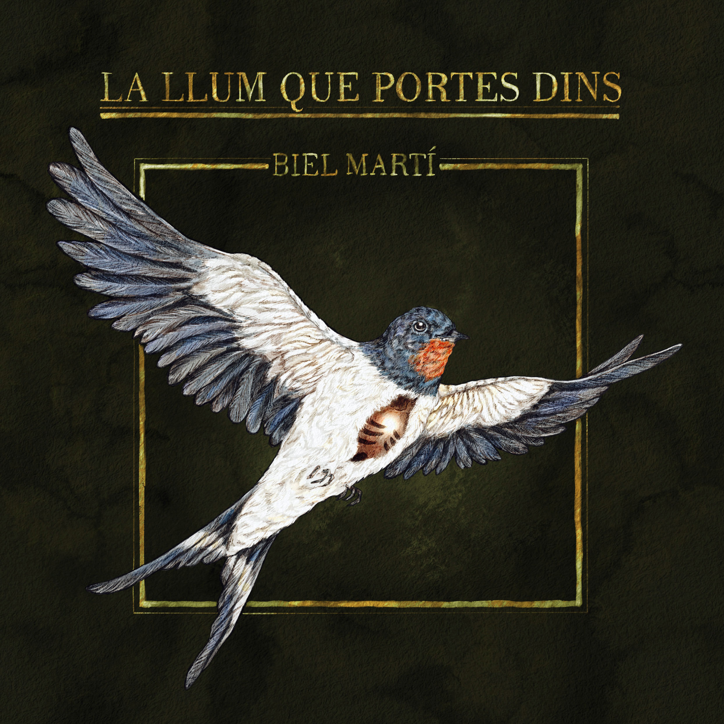 Biel Martí "La llum que portes dins"