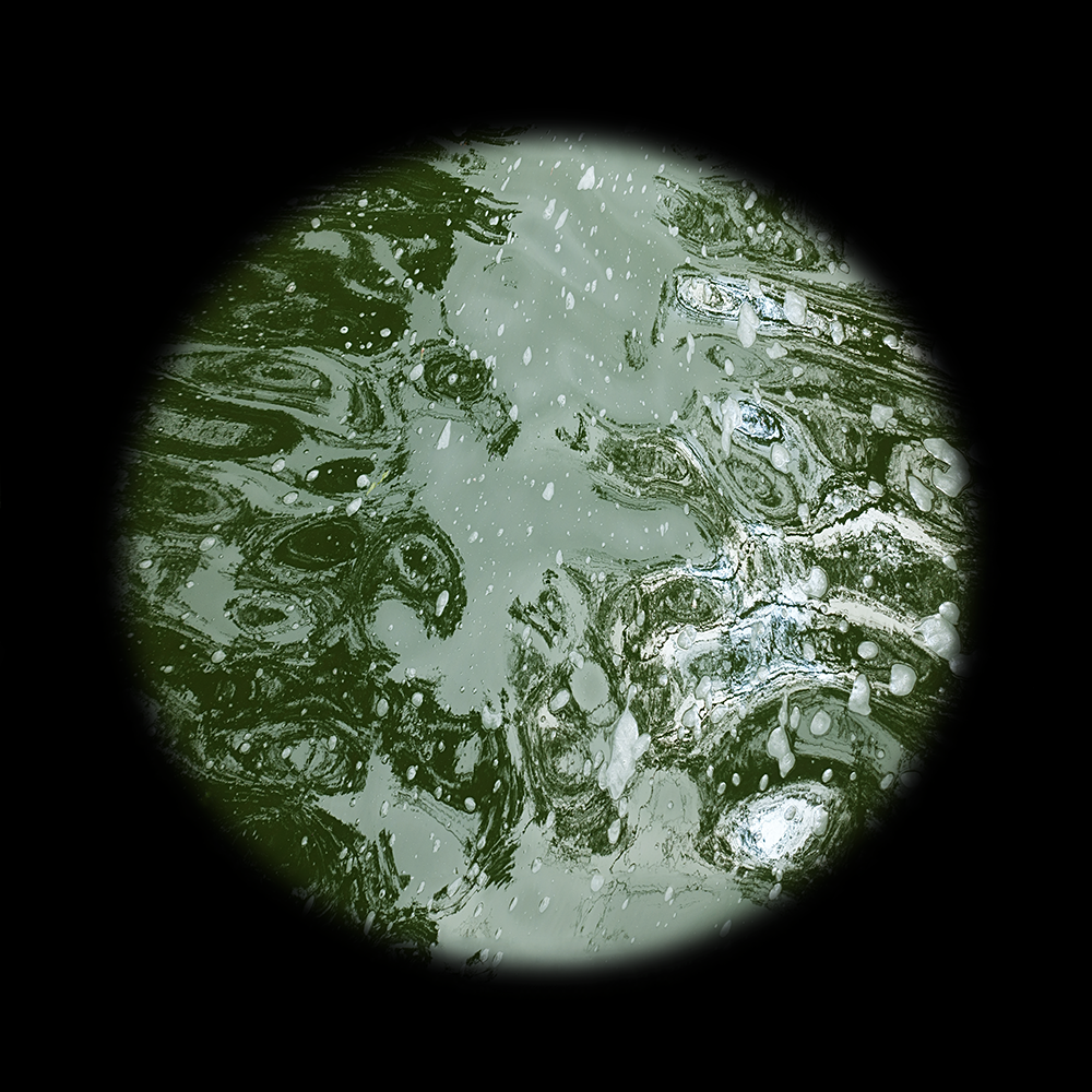 Stow Lake Pollen