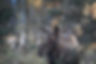 DSC02284.JPG