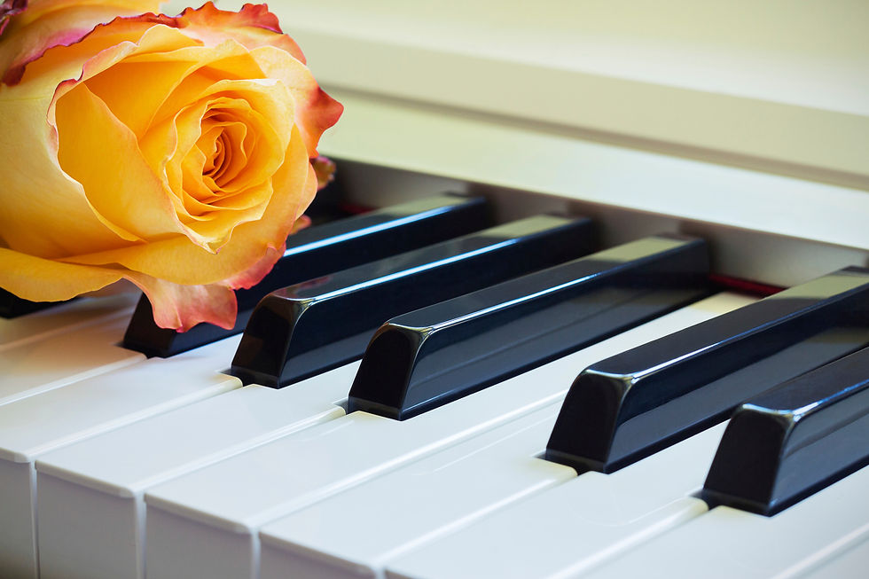 Will Blake Funeral Pianist Live music for funerals 33 Durlett Road