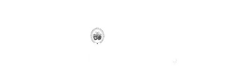 00 BARRA DE LOGOS.png