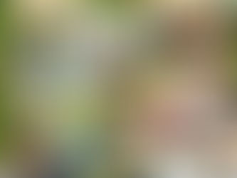 Glosse: Michendorf auf dem Weg zum Kurort