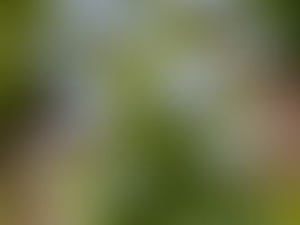 Blaues Zeichen gegen das Vergessen: Michendorf beteiligt sich am Vergissmeinnicht-Tag