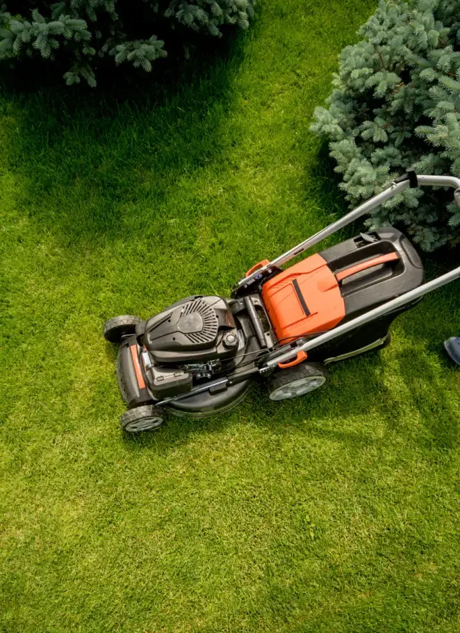 about us page - about us section.webp