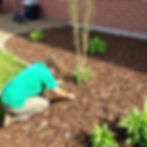 i need mulch installation image.jpg