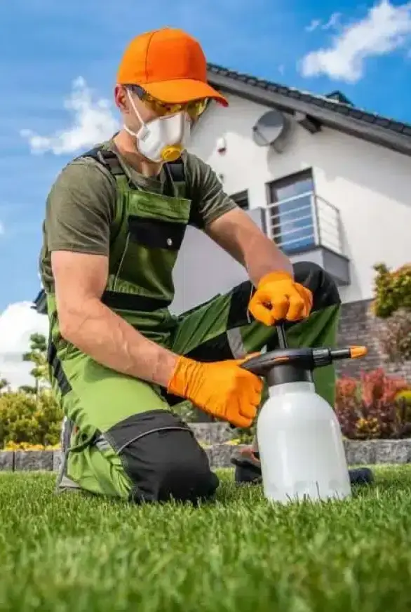 Lawn Herbicide Application-1.webp