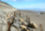 Beach view