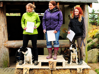 VII Otwarte Pasterskie Mistrzostwa Polski w stylu angielskim Brodnica Górna 17-18.10.2014.