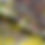 Thumbnail: 3D Mallard Double Star Forever Camo