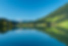 fro_20100911_1547.jpg