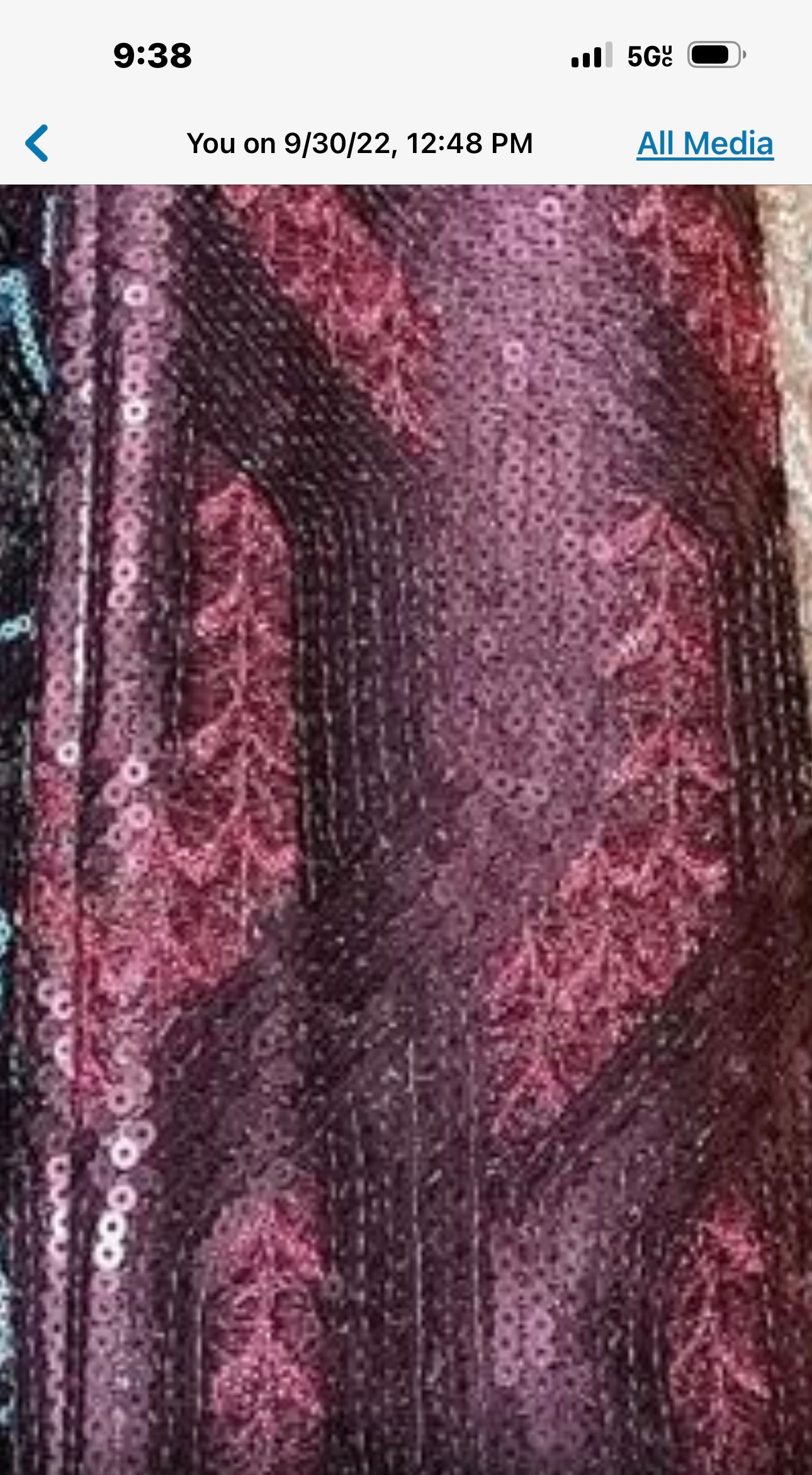 Sequence tulle French lace