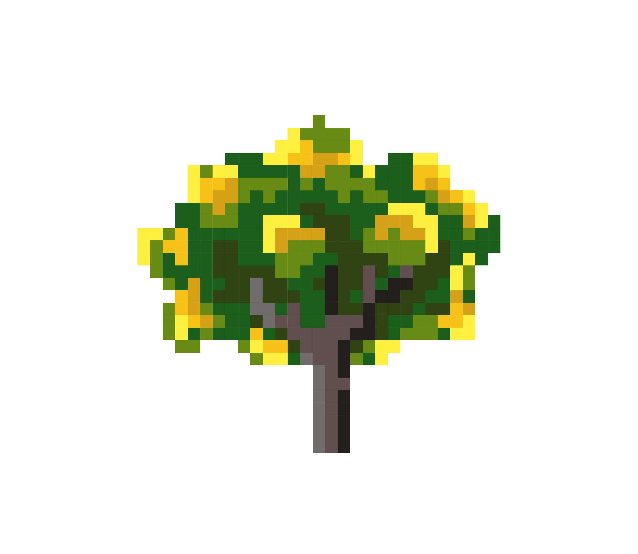 Yellowflametree-2.gif