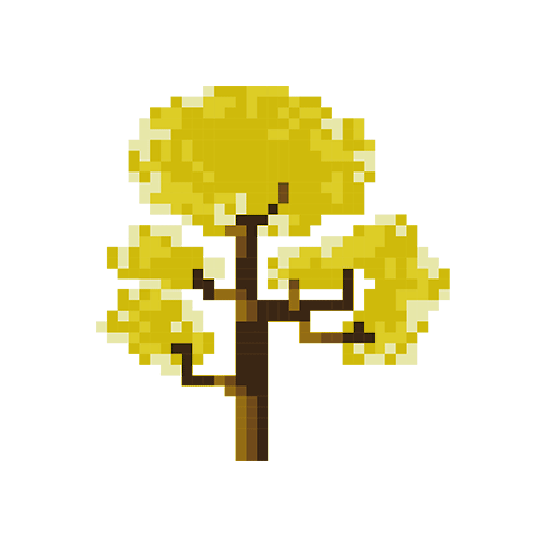 Tabebuia_Yellowtree.gif