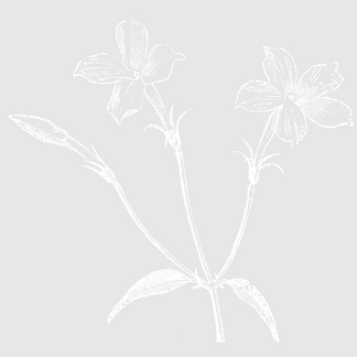 Untitled design (3).png