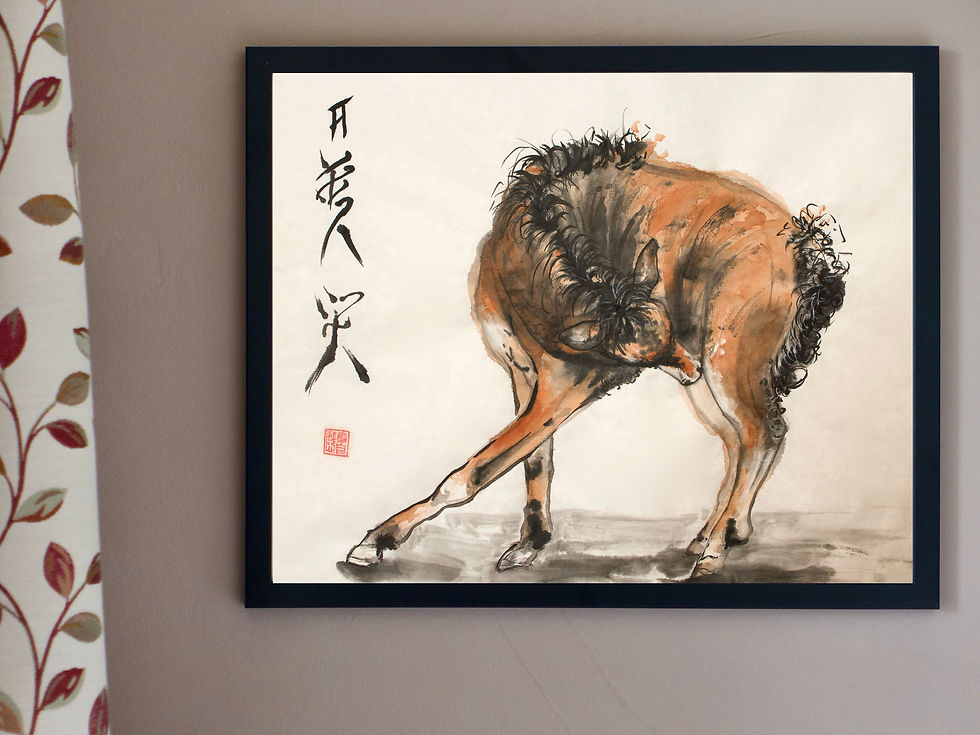 Thumbnail: Dartmoor Foal