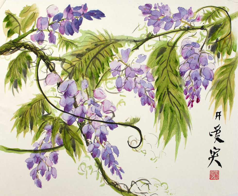 Wisteria